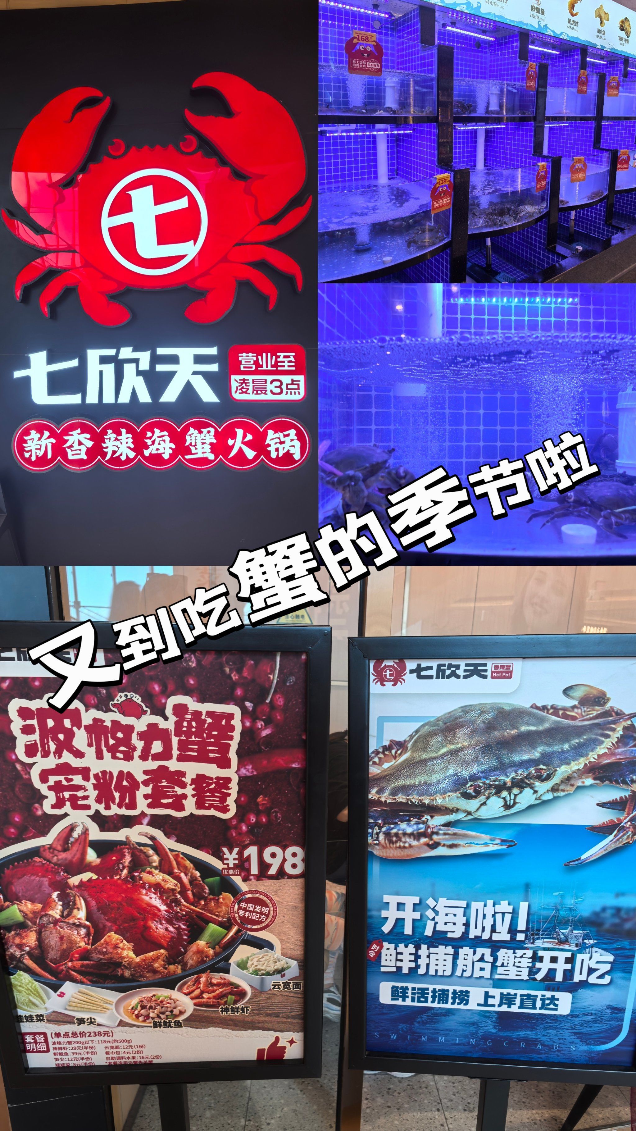 0元玩转这座城 #七欣天品蟹轩 #七欣天东海船蟹节 #吃蟹的季节 #这