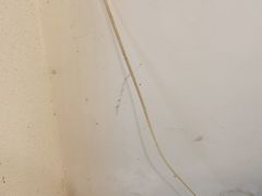 -黄氏壹品汇•水牛奶甜品(全国总店)