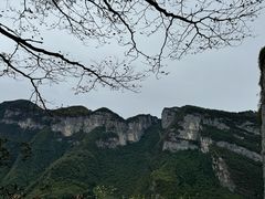 -鹿院坪生态旅游景区