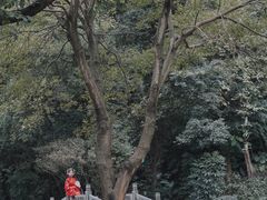 -深圳国际园林花卉博览园