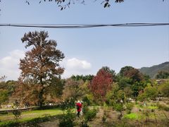 -塔川景区