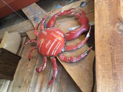 -The Crab Pot Seattle