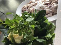 -百年果林椰子鸡(中洲店)