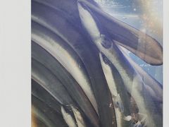滋补炭烤鳗鱼-本炙炭烤·蒲烧活鳗料理店(金沙洲店)
