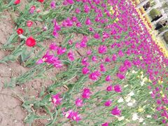 -长春公园(普阳街道)