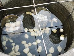 -凤翔首邑温泉度假村