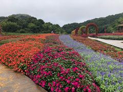 -广州市石门国家森林公园
