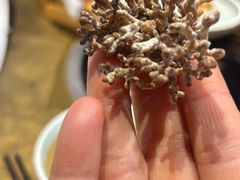 -手选潮汕鲜活牛肉火锅(二七广场店)