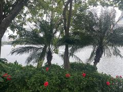 -南宁南湖公园