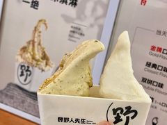 -野人先生Gelato(上海长宁龙之梦店)