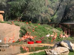 -沈阳森林动物园