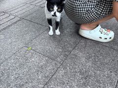 -晓港公园