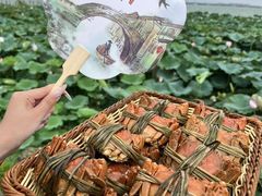 -七的湖·晚芳亭·阳澄湖农家菜·大闸蟹(莲花岛店)