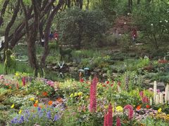 -上海共青森林公园