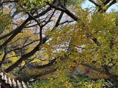 -乌山风景区