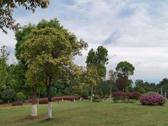 -铁山坪森林公园