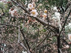 -荆川公园