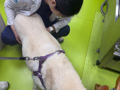 -美联众合动物医院·24h转诊中心