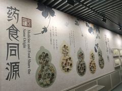 -北京中医药大学-中医药博物馆