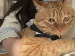 -美联众合动物医院·24h京西诊疗中心