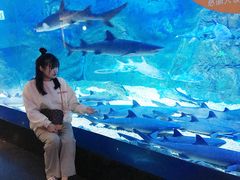 -烟台海昌鲸鲨海洋公园