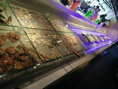 -金权道韩式自助烤肉(嘉华国际店)