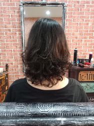 -呈美国际美肤养生艾洗造型