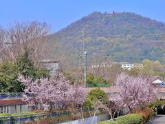 -姐妹面馆(水澄路店)
