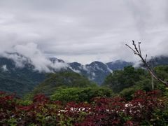 -优游吧斯邹族文化部落