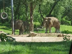 -北京野生动物园