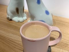 -猫里有甜