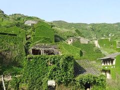 -大王村沙滩