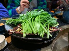 茼蒿-湊湊火锅·茶憩(上海合生汇店)