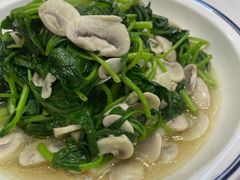 -旺山·浪头人家