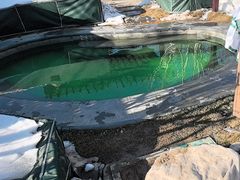 -白桦林温泉谷