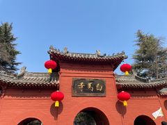 -洛阳白马寺