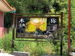 -塞罕坝国家级自然保护区