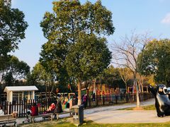 -上海海湾国家森林公园