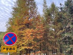 -南京市无想山景区