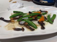 -荟廷·晶萃(陆家嘴尚悦湾店)