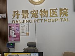 -丹景宠物医院·全科·老年病·牙科(武昌诊疗中心)