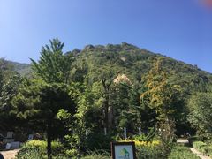 -北京鹫峰国家森林公园
