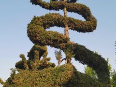 -曹州牡丹园