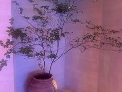 -舒小悦·舒养SPA·古法推拿(光环中心店)