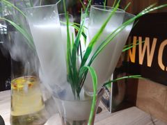 -探窝·竹笙椰子鸡(杨箕店)