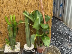 -DGE季风钓虾营地·团建·聚会