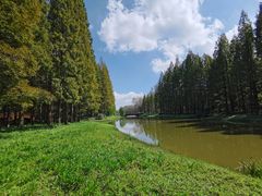 -黄海国家森林公园