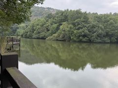 -白马涧龙池景区