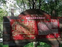 -东平国家森林公园