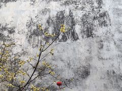 -拙政园